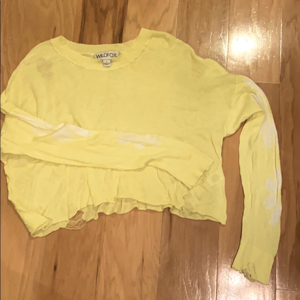 Wildfox Daisy Distressed Sweater